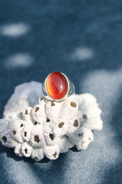 Anillo Naia Cornalina