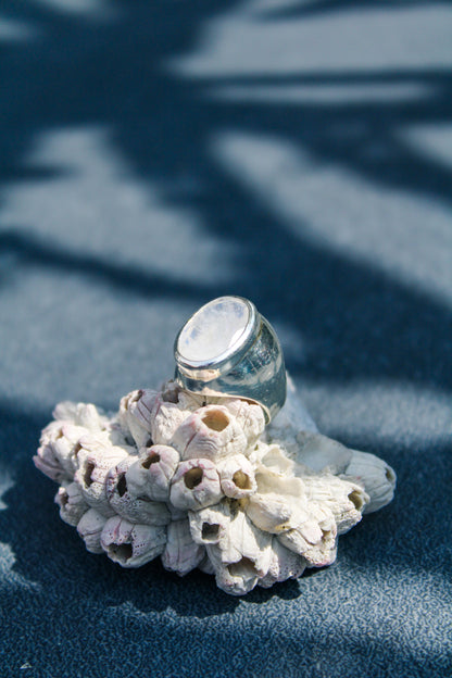Anillo Naia Moonstone