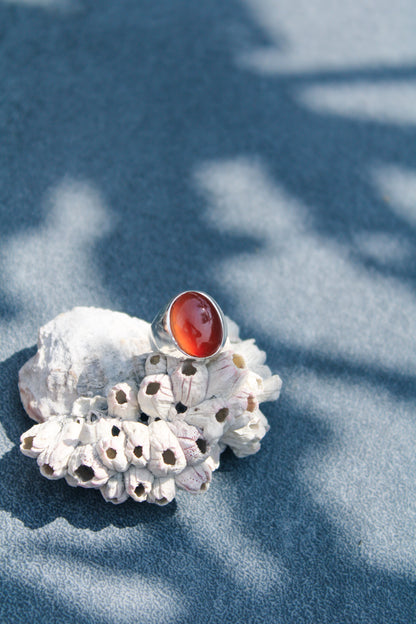 Anillo Naia Cornalina